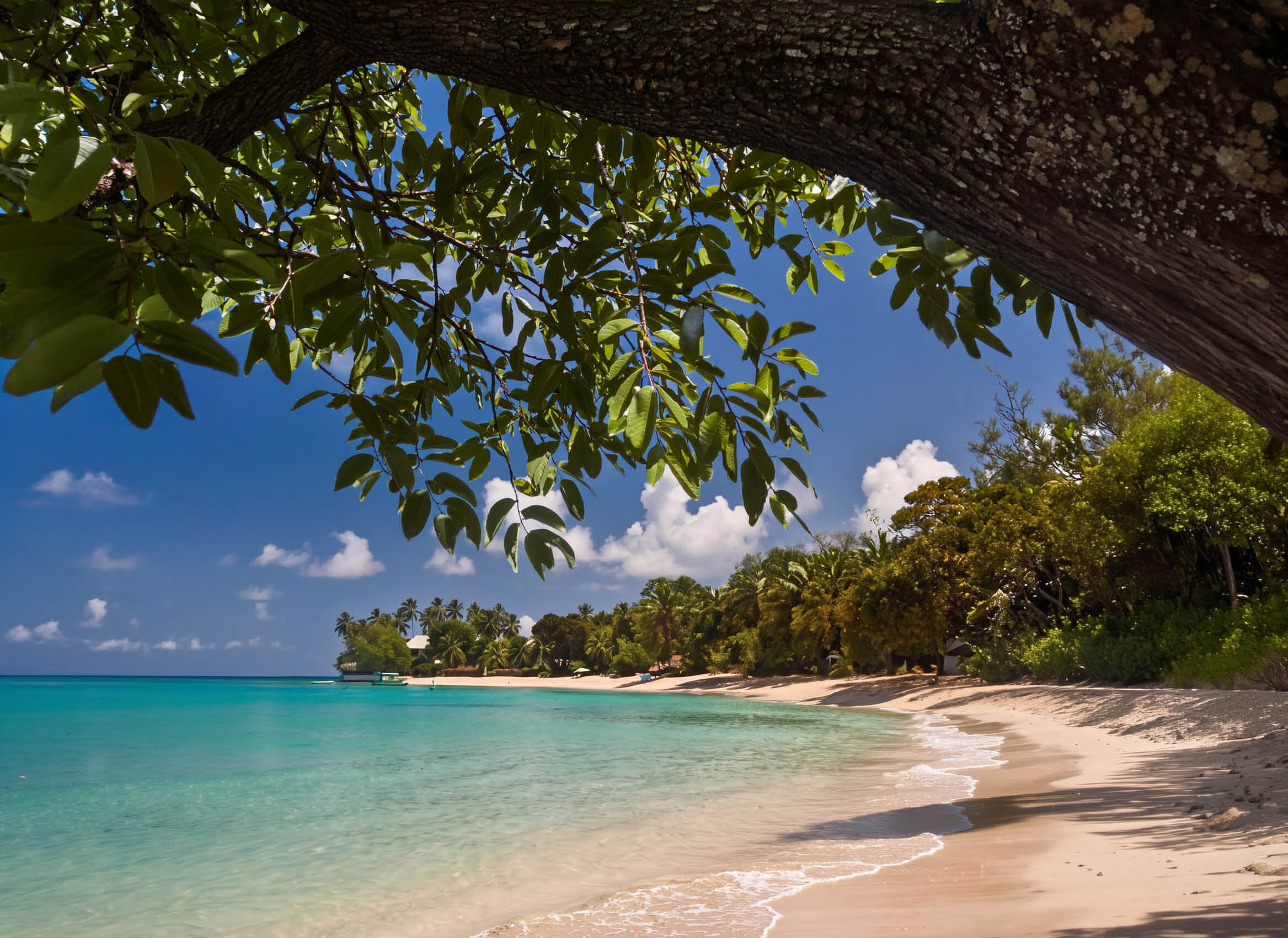A calm beach on the west coast of Barbados